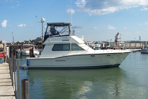 hatteras36.jpg