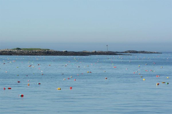 lobster-buoys-vinalhaven-ma.jpg