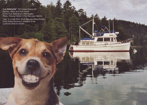 boatdog2.jpg