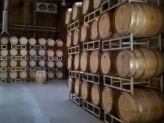winery.jpg