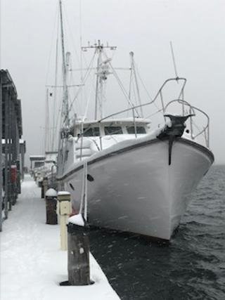 frozen boat.JPG
