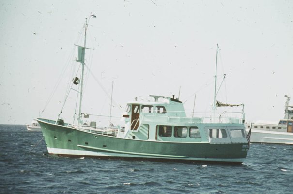 DELFIN 5-74 2.jpg