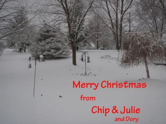 christmas card.jpg