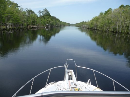 Waccamaw River.jpg