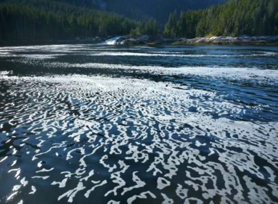 Jesse Falls Foam 21-4-'13.jpg