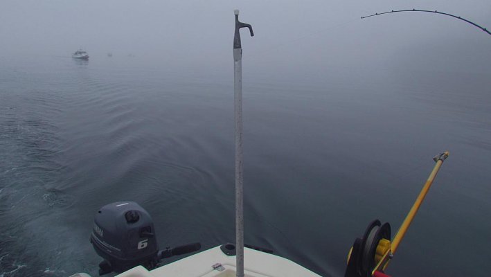 Fog Fishing.jpg