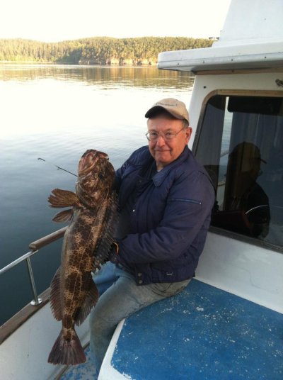 Lingcod.jpg