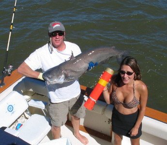 31 lb. Tennessee River catfish.jpg