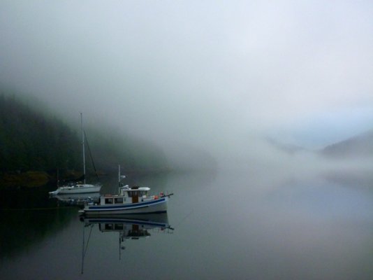 Badger & Avoceta - fog.jpg