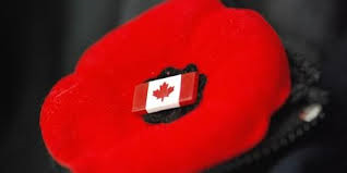 canadian poppy.png