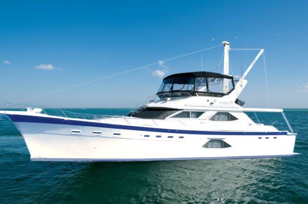 searay trawler.jpg