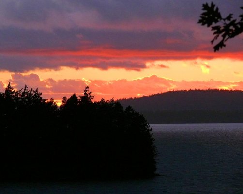 Chuckanut Stormset.jpg