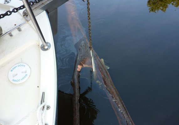 Anchor Snag.jpg