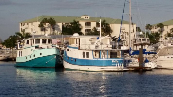 trawlers_puffin_Punta Gorda.jpg