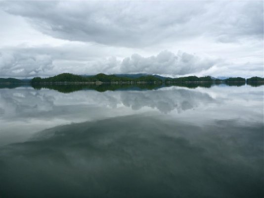 Badger, Kitkatla Inlet.jpg