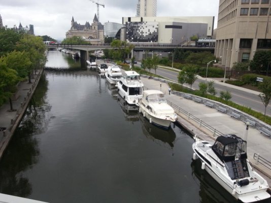 Busy docks downtown.jpg