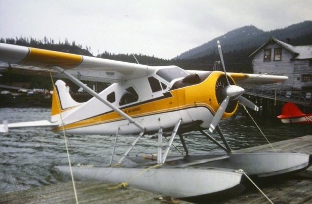 beaver at wrangell.jpg