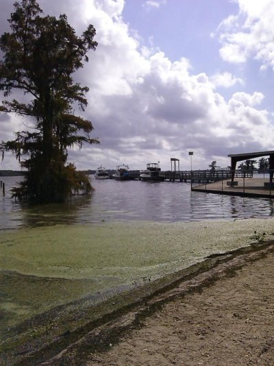 Lake Arthur dock.jpg