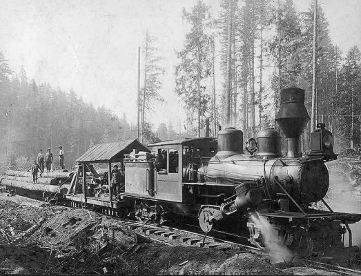 logging train.jpg