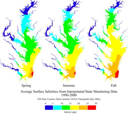 bay_salinity.jpg
