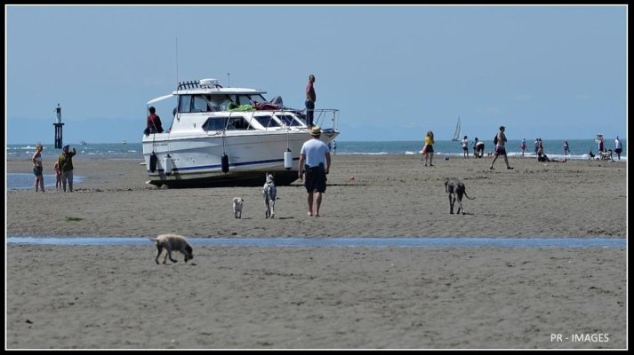 beached boat.jpg