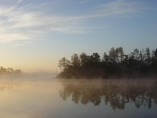 Misty Ingram Bayou.jpg