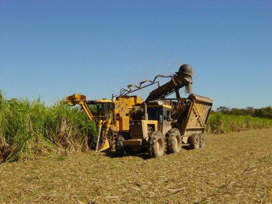 Cameco harvester rebecca.jpg