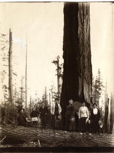 Myrtle Point 1900.jpg