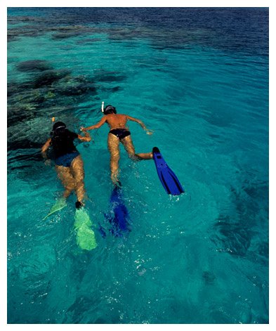 snorkeling1.jpg