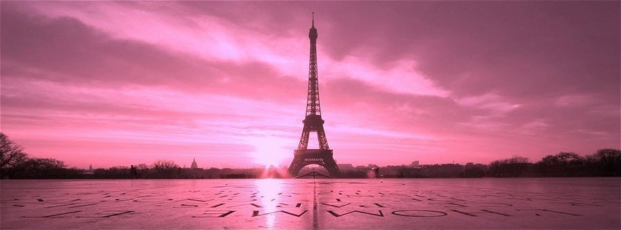 Paris en rose.jpg