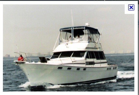 bayliner 3870.jpg