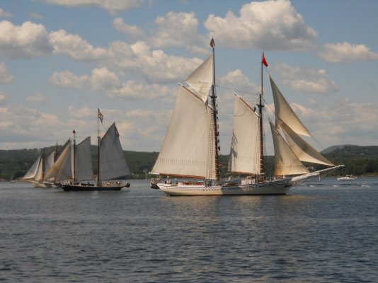 schooners2.jpg