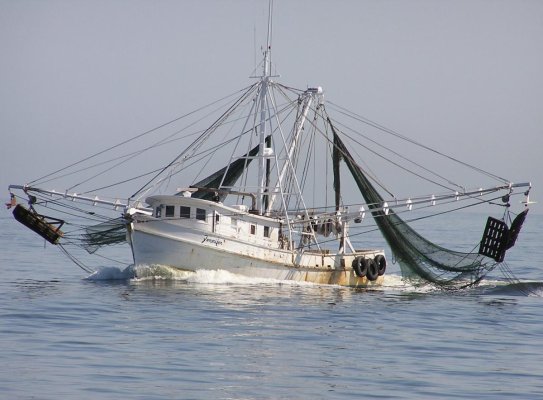 shrimp_boat.jpg