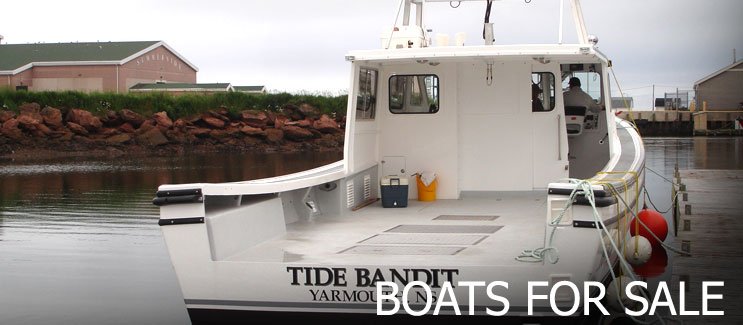 time bandit.jpg