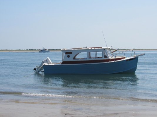 Red knot in bight.jpg