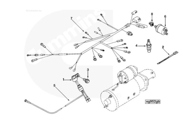 6BTA Harness.JPG