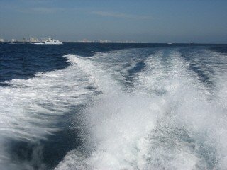 miami wake in the gulf stream weblog.jpg