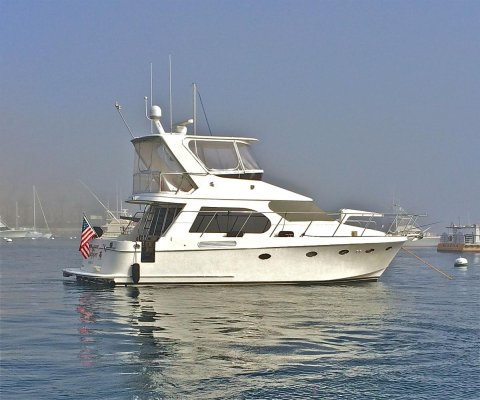 Sandpiper at Catalina Island.jpg