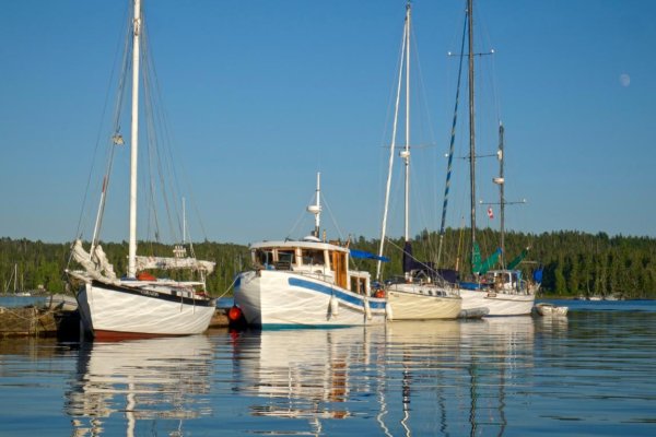 Badger, Shearwater, Breakwater.jpg