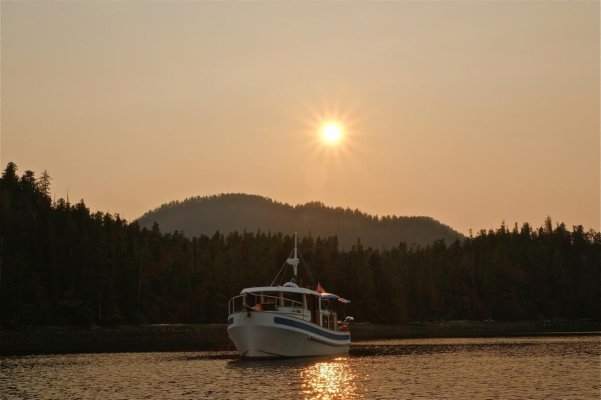 Badger at Sunset.jpg