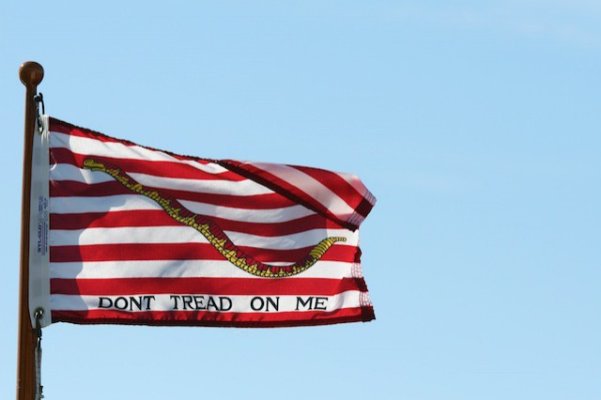 j_beatty_flag_img_1250.jpg