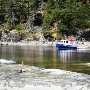 musket cove rock