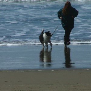 run on beach