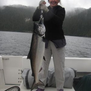 Chinook, Salisbury Sound