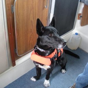 Rosco: 4th mate on the boat