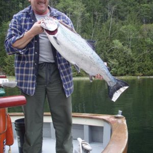 Narrows inlet sprig