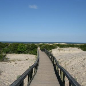 CUMBERLAND ISLAND BEACH