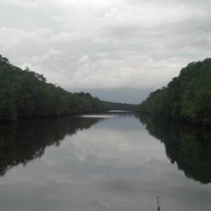 WACCAMAW RIVER SC