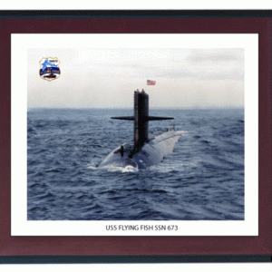 Uss Flying Fish print, with me driving as OOD