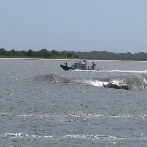 SUB IN CUMBERLAND SOUND